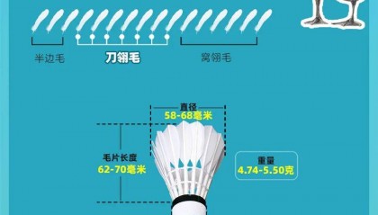 羽毛球凭什么卖到300元?1只鹅造不出1个球