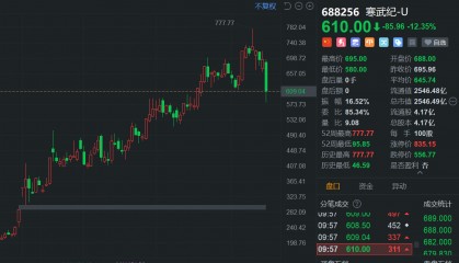 寒武纪回应早盘股价大跌：股价受综合因素影响，公司不太了解机构对业绩预告的看法