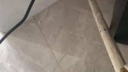 广州一小区2年抓到超60条蛇?业主:家里来过两三条,物业回应