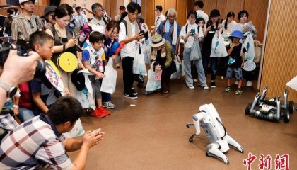 大阪世博会舞台上 杭州奏响“科技+文化”交响曲