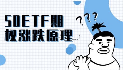 股指期权的涨跌因素是什么?