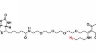 CAS1802907-93-2 Dde Biotin-PEG4-azide小分子PEG 生物素-四乙二醇-叠氮