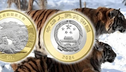 东北虎纪念币题材已经走低?我不约