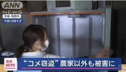 米太贵!日本人在米袋里放GPS防偷