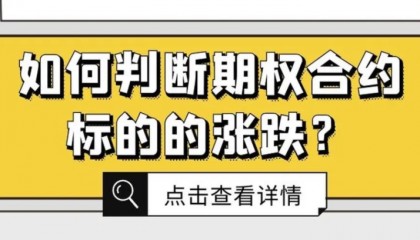 如何判断期权的涨跌?