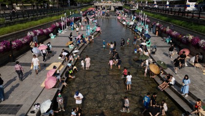 韩国：单人户数量首次破1000万 占家庭总数比重超4成