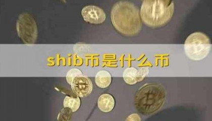 shib币是什么币