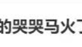 被缝反的“哭哭马”，为啥成了爆款？