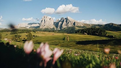 期权如何判断行情的涨跌?