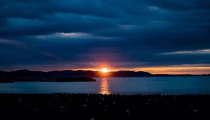 不同家电品类的中国市场众生相:涨跌不一