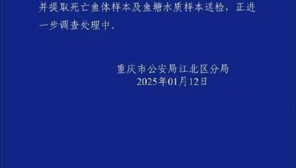 重庆警方通报“公园锦鲤大量死亡”:已提取死亡鱼体样本及鱼塘水质样本送检