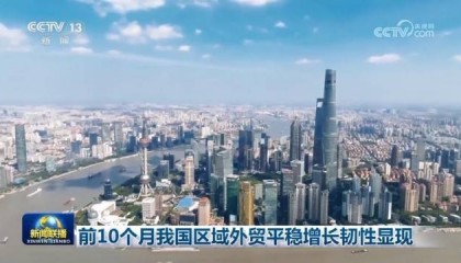 前10个月我国区域外贸平稳增长韧性显现