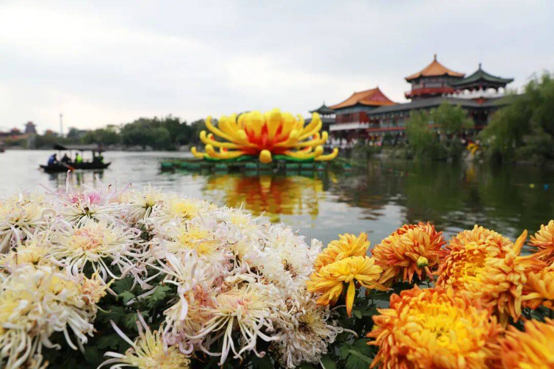 一朵花 一座城