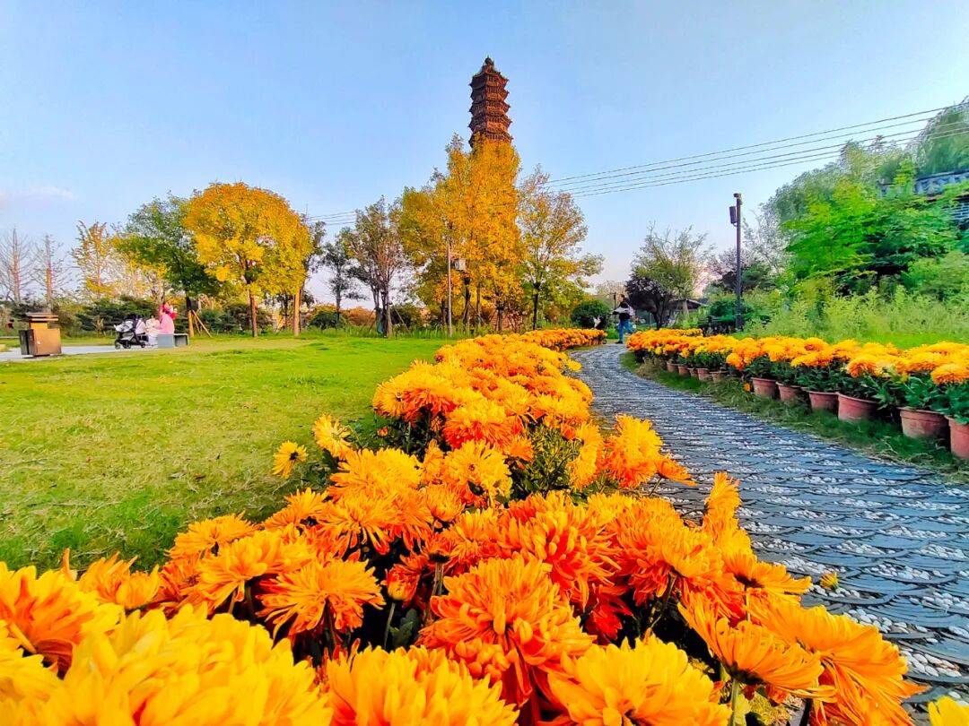 一朵花 一座城