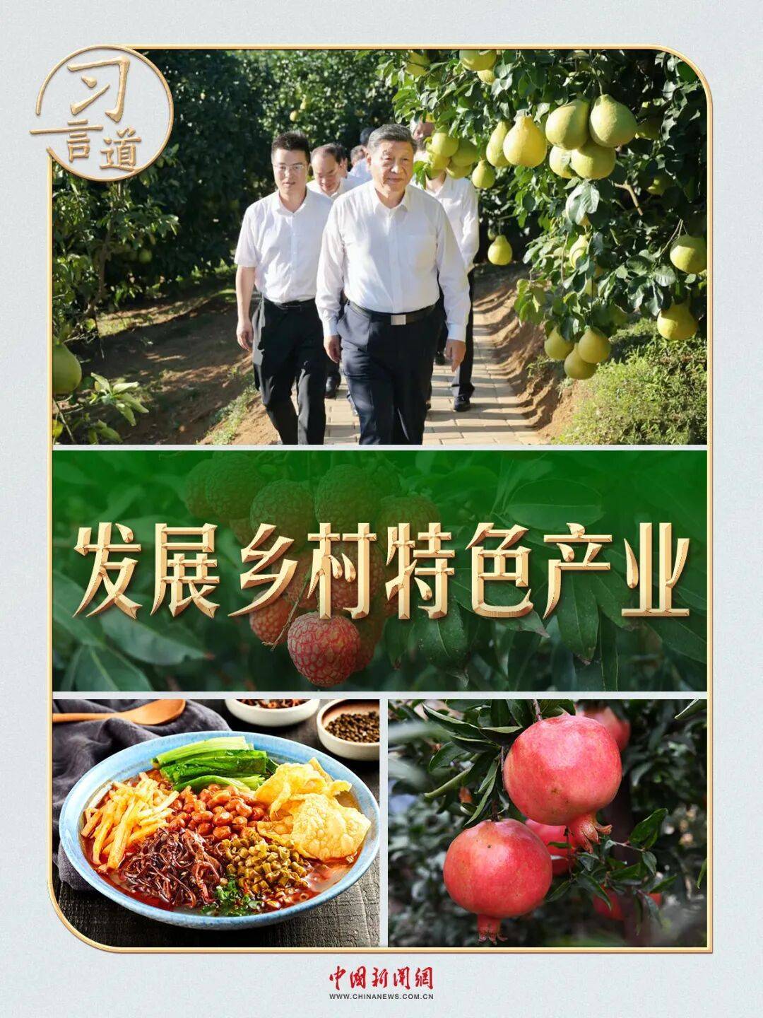 习言道|从荔枝园到柚子园,习近平不变的牵挂