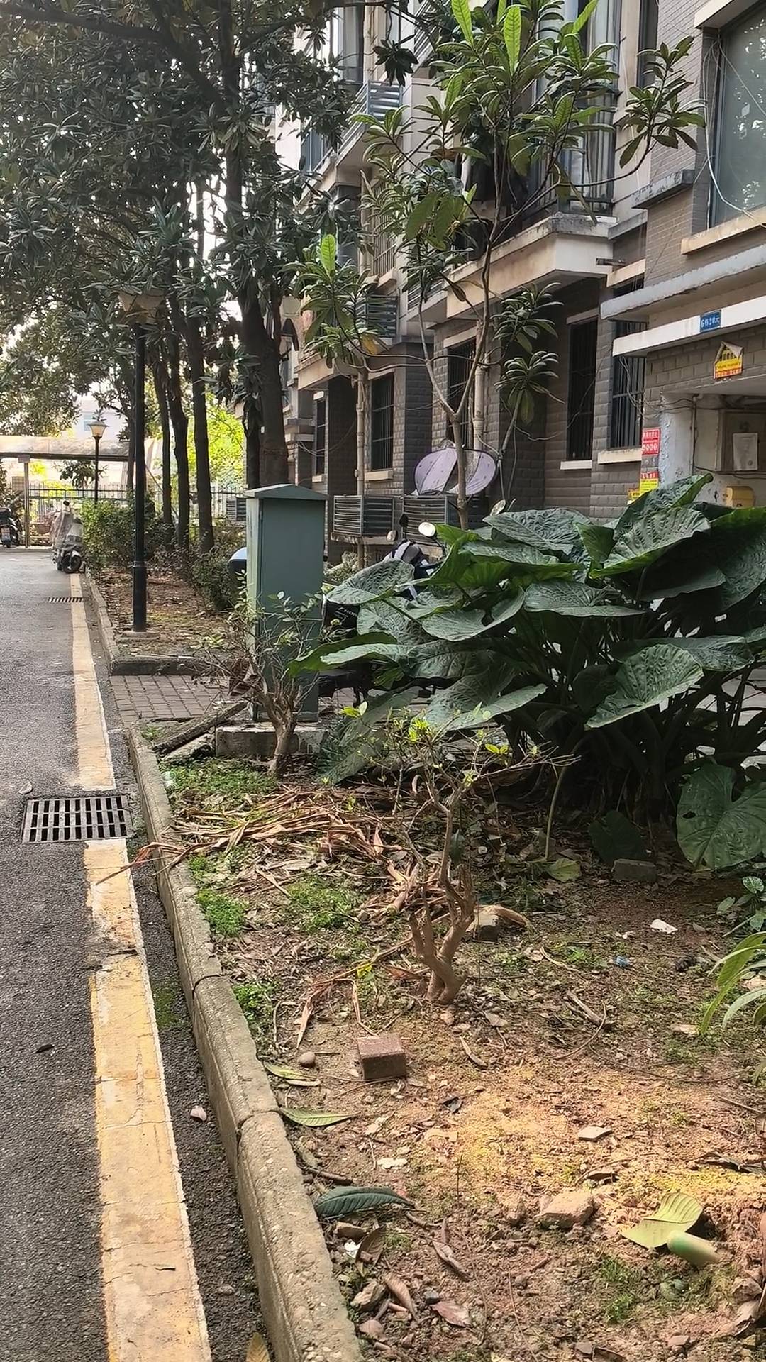 株洲女子夜间遭同小区大狗扑咬,男子从二楼冲下死死摁住肇事狗,众居民:一定要表扬他