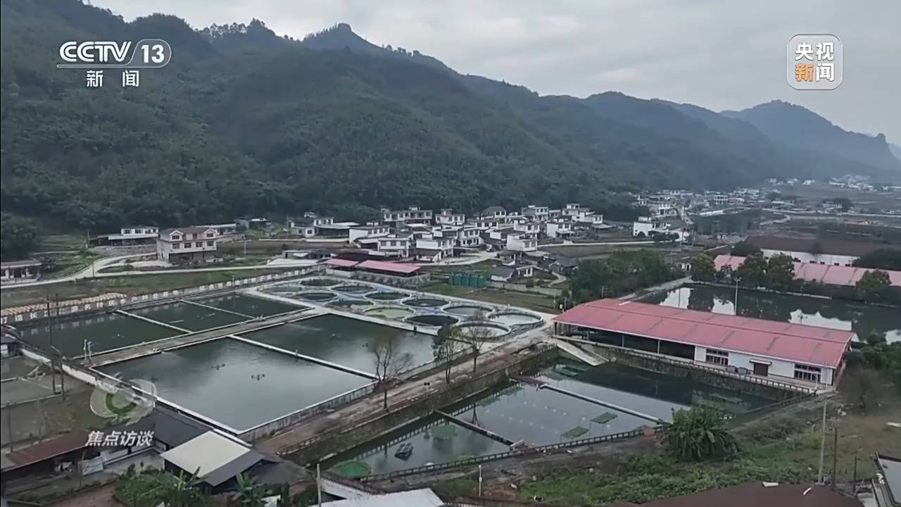 焦点访谈丨新时代长江之歌 十年守护见证绿色蝶变