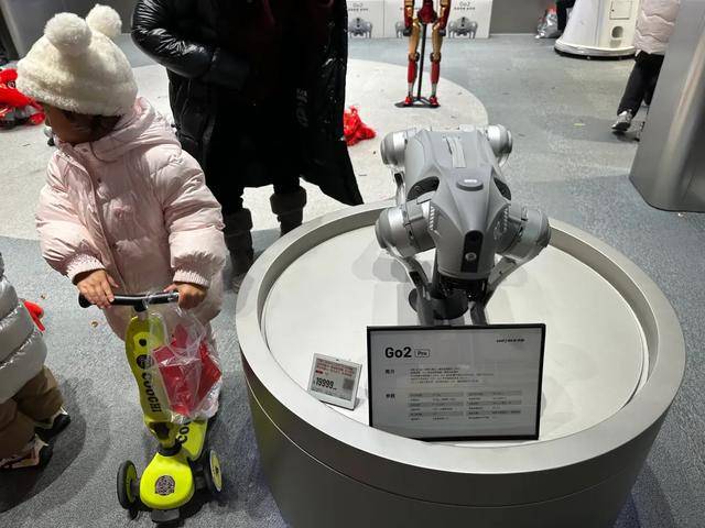 宇树机器人这一年:钱很多,心很急