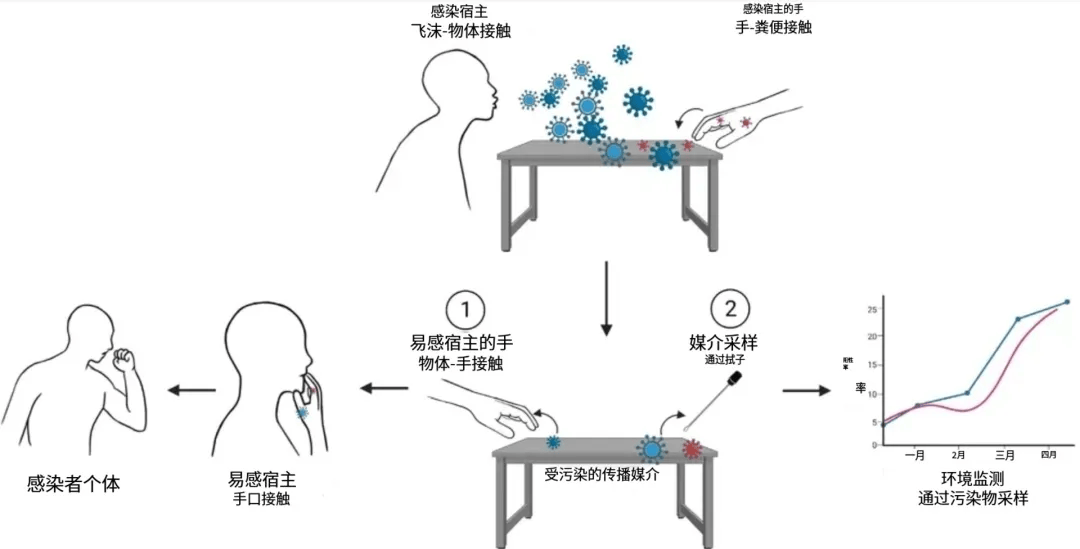 一擦就能灭病毒，婴幼儿、孕妇友好？起底“防甲流”湿巾