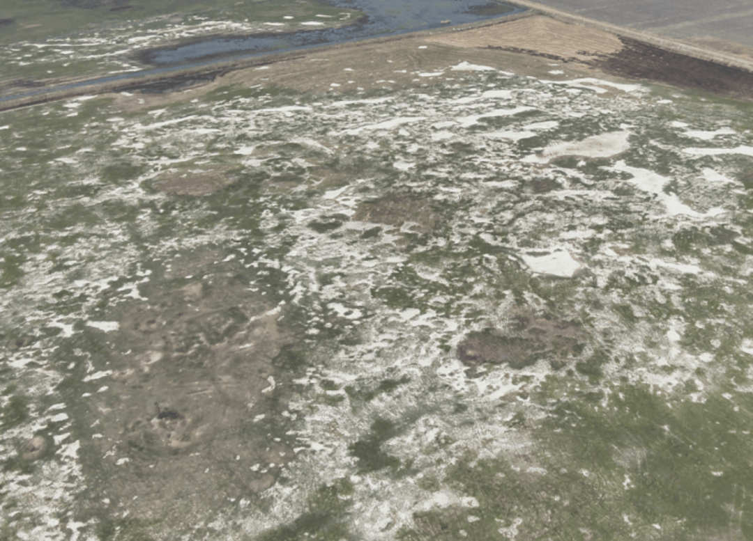 中央生态环保督察组:齐齐哈尔湿地破坏严重 人为造成湿地减少2700余亩